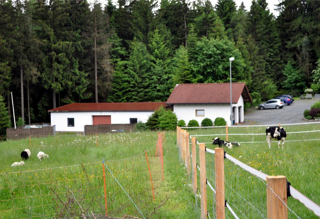 Ferienhaus Mueller Warmensteinach Exterior photo